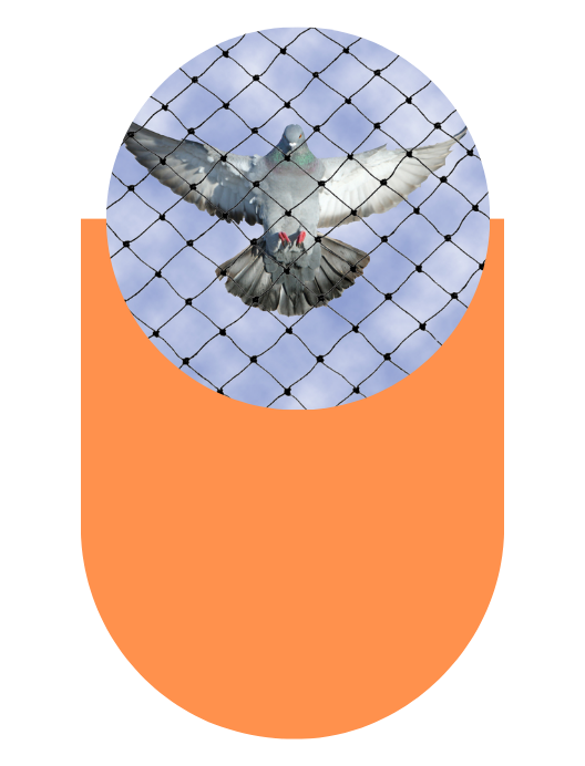 bird-netting